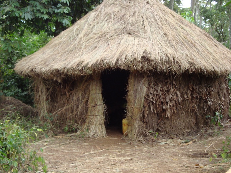 WOMAN'S HUT AT GIITUNE SACRED FOREST, PHOTO FROM PORINI ASSOCIATION KENYA